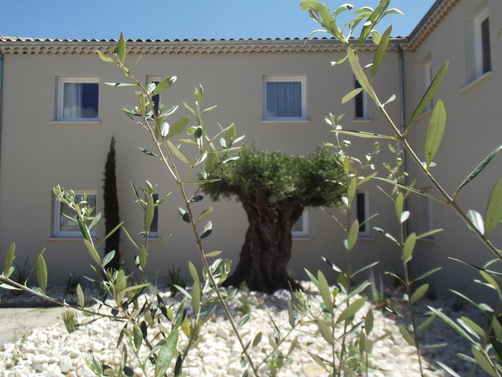 מלון פיירלאט Le Domaine Des Oliviers מראה חיצוני תמונה